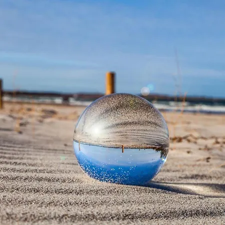 Schwarzer Baer Whg Baer 05 *