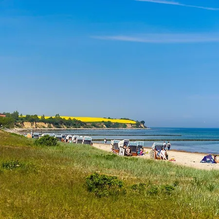 Schwarzer Baer Whg Baer 05 * Boltenhagen