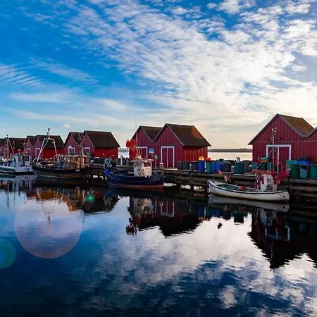 Schwarzer Baer Whg Baer 05 * Boltenhagen